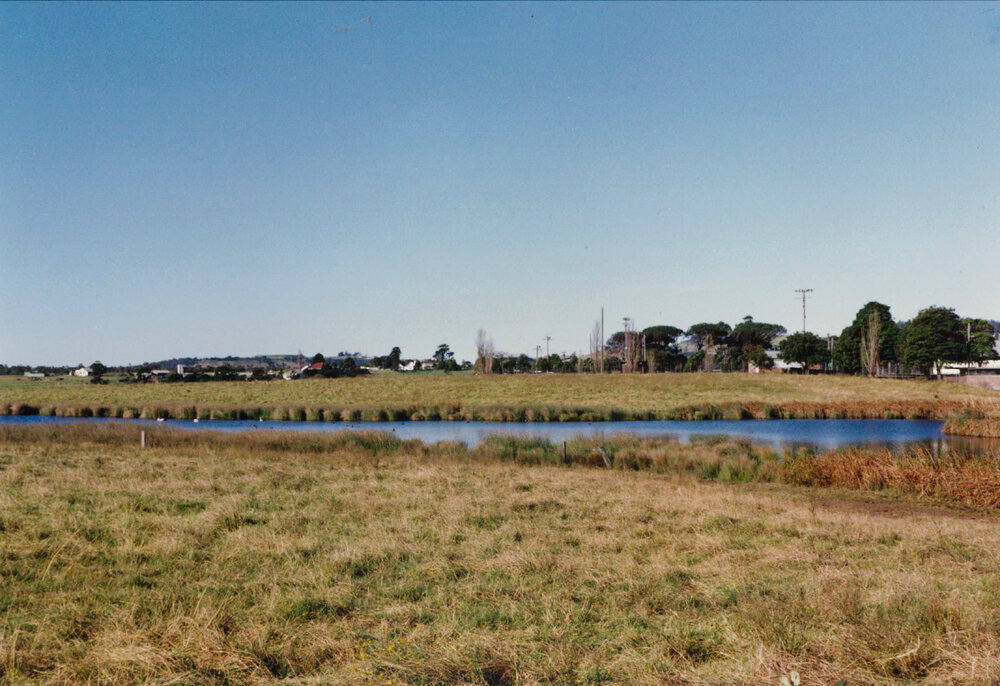 Pond Near Boles' Meadows