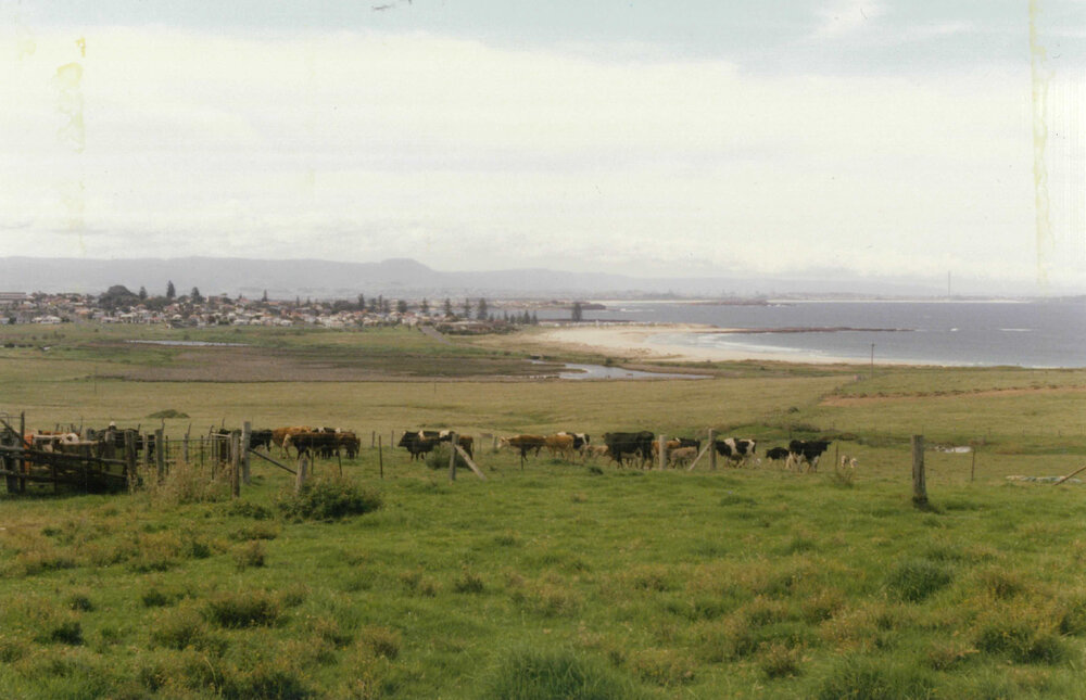Shellharbour Swamp and South Beach