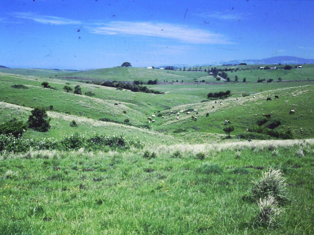 Site of Flinders Today