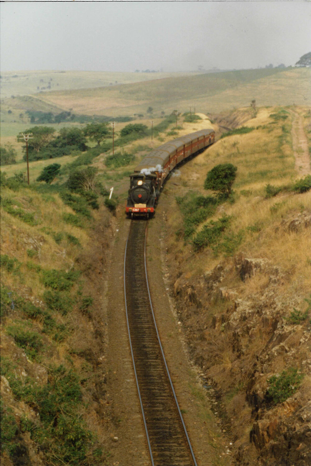 Steam Train 'Rosie' 5367