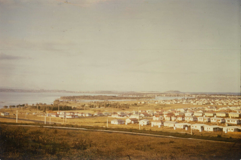 View over Mt Warrigal