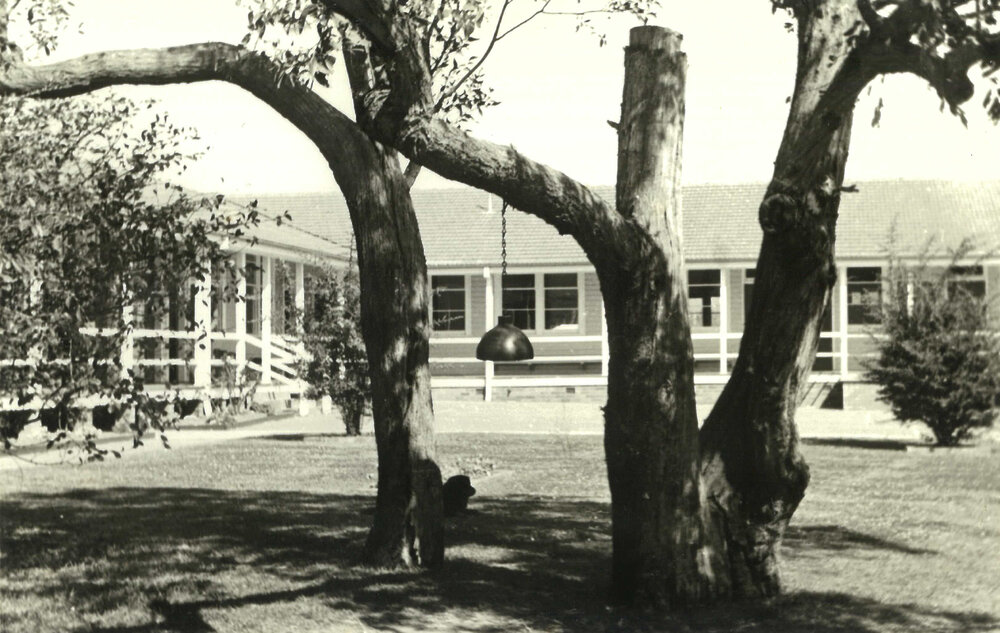 Oak Flats School and Bell