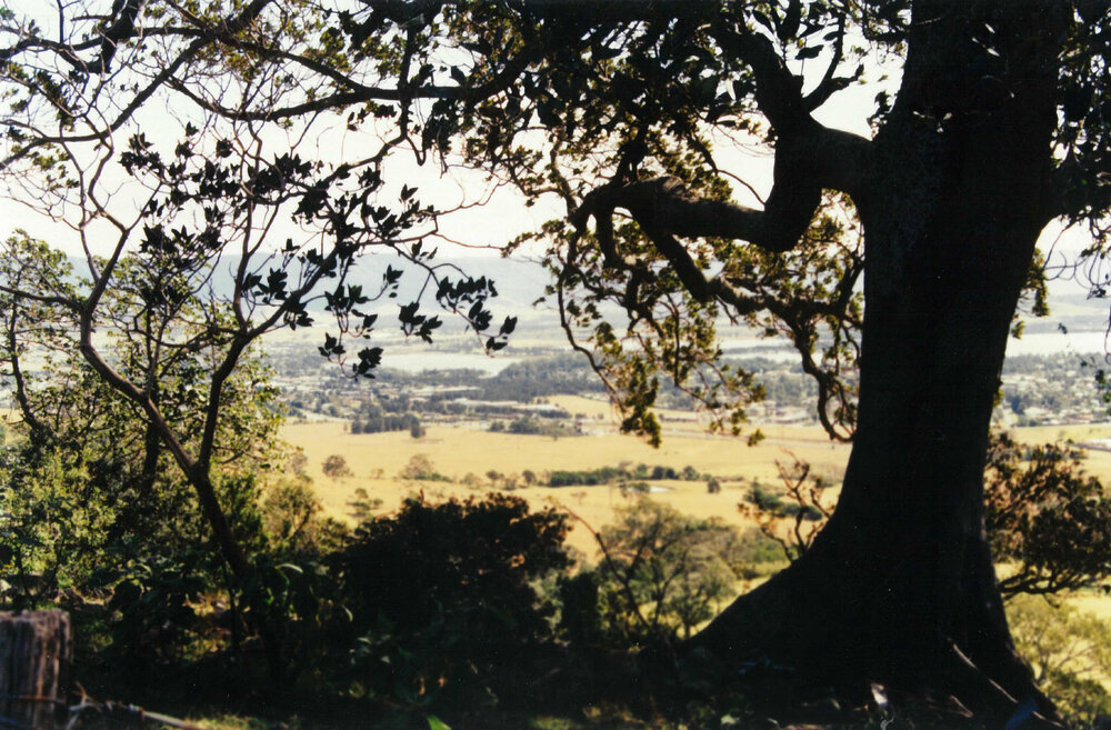 View from Dunster's Lane to Lake Illawarra
