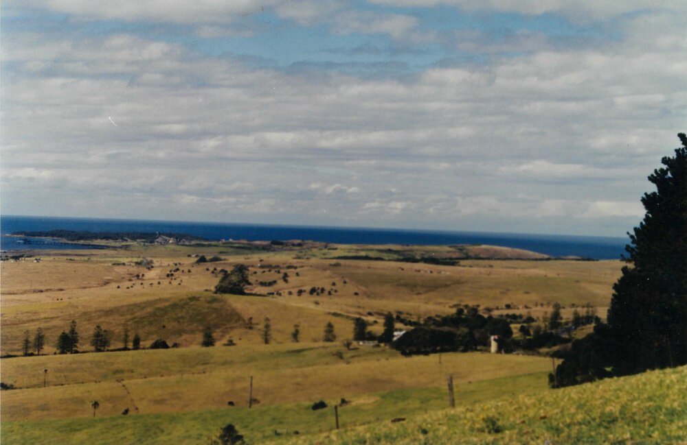 View from St Ives Farm to Bass Point