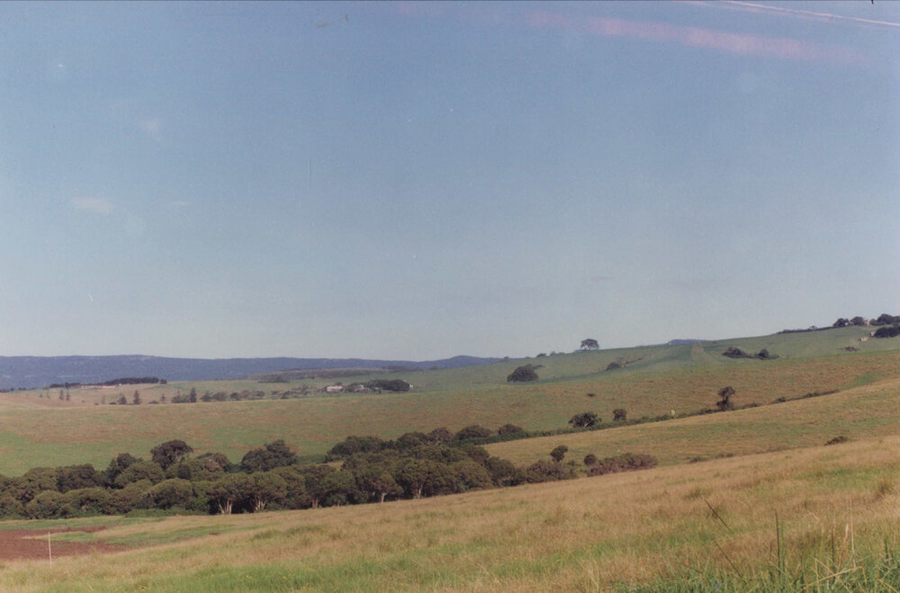View towards Old Princes Highway and 'The Hill'
