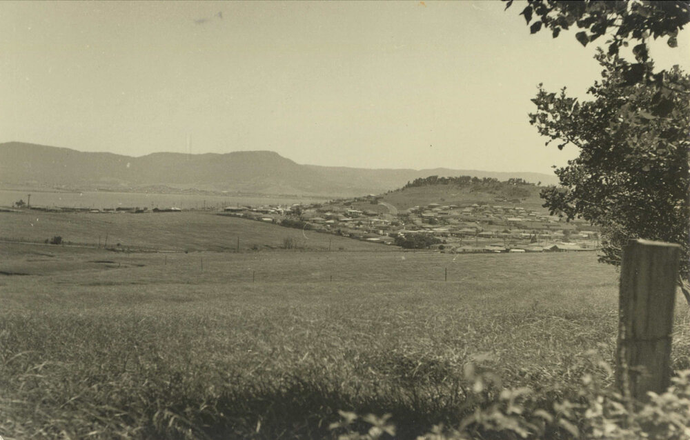 View to Mount Warrigal