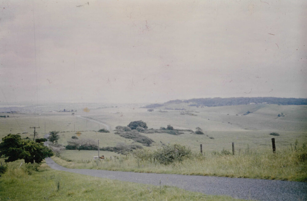 View from Dunster's Lane