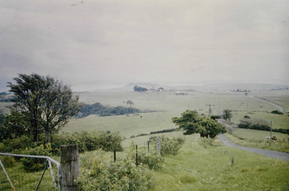 View from Dunster's Lane to Mount Warrigal