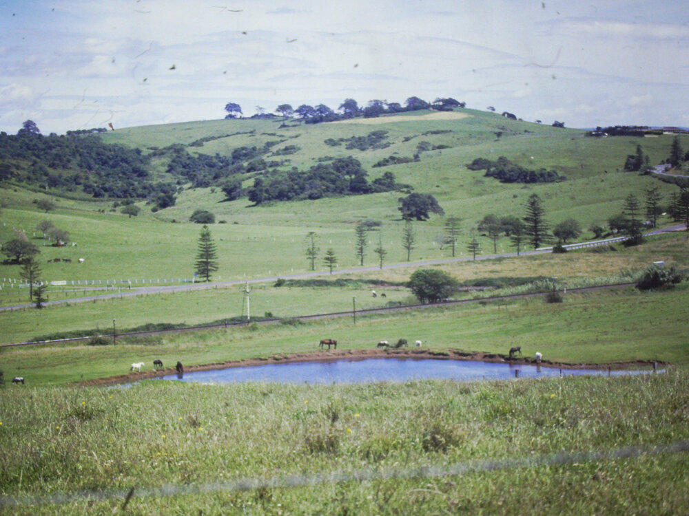 View to 'The Hill'