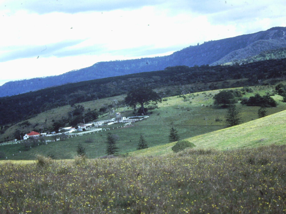 'Kurrawong' Farm