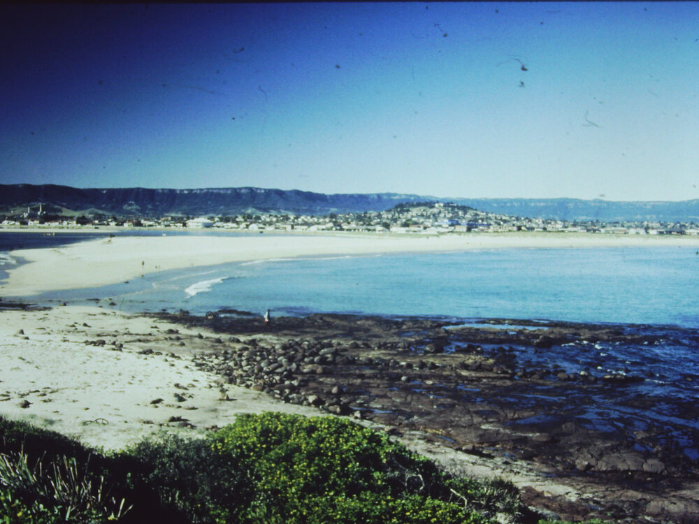 View to Lake Illawarra South