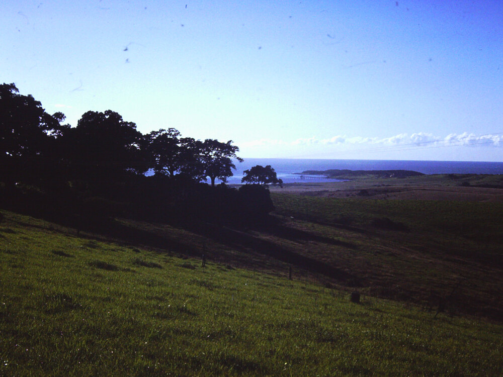 View from 'The Hill' to Bass Point