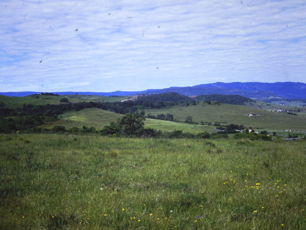 View to 'The Hill'