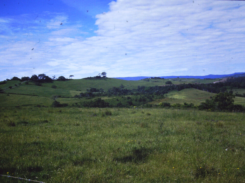 View to 'The Hill'