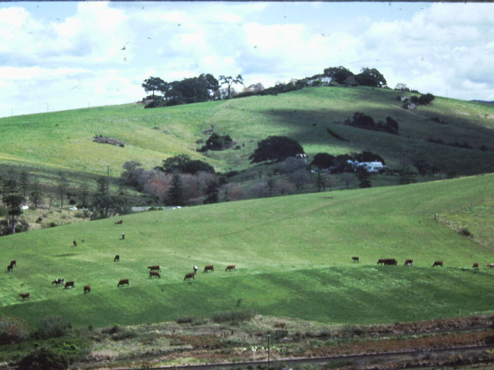 'The Hill' and 'St Ives' Farms