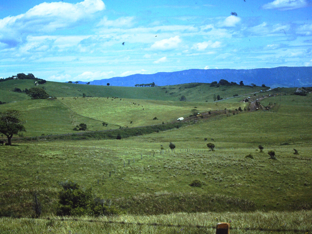 View to 'The Hill'