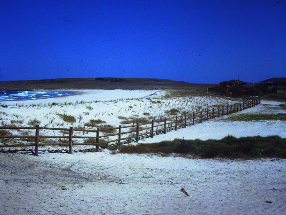 Shellharbour South Beach