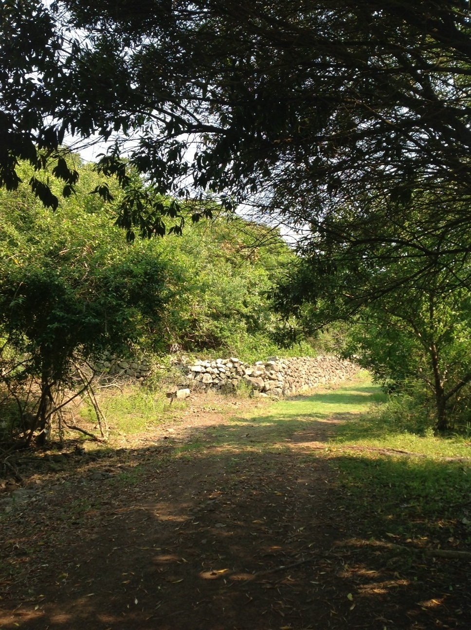 Killalea State Park Dry Stone Wall