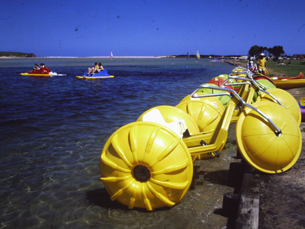 Paddle Boats at Reddall Reserve