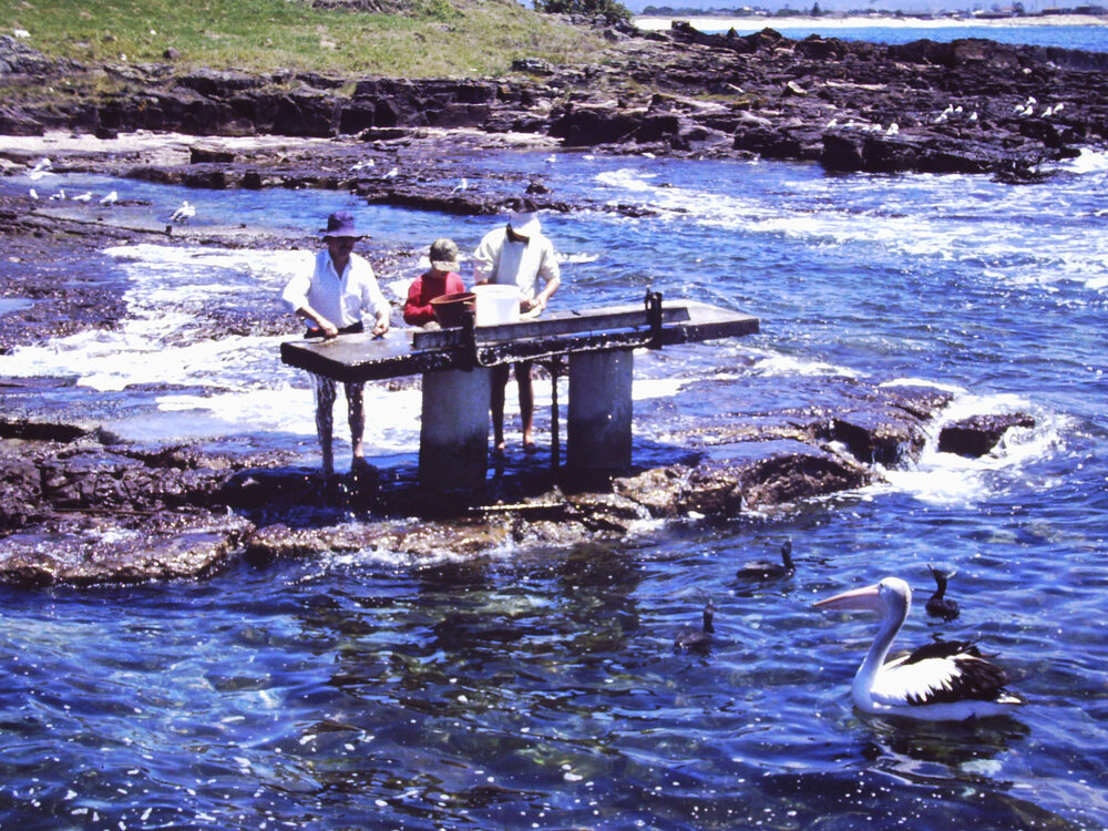 Fish Cleaning Station, Shellharbour Harbour