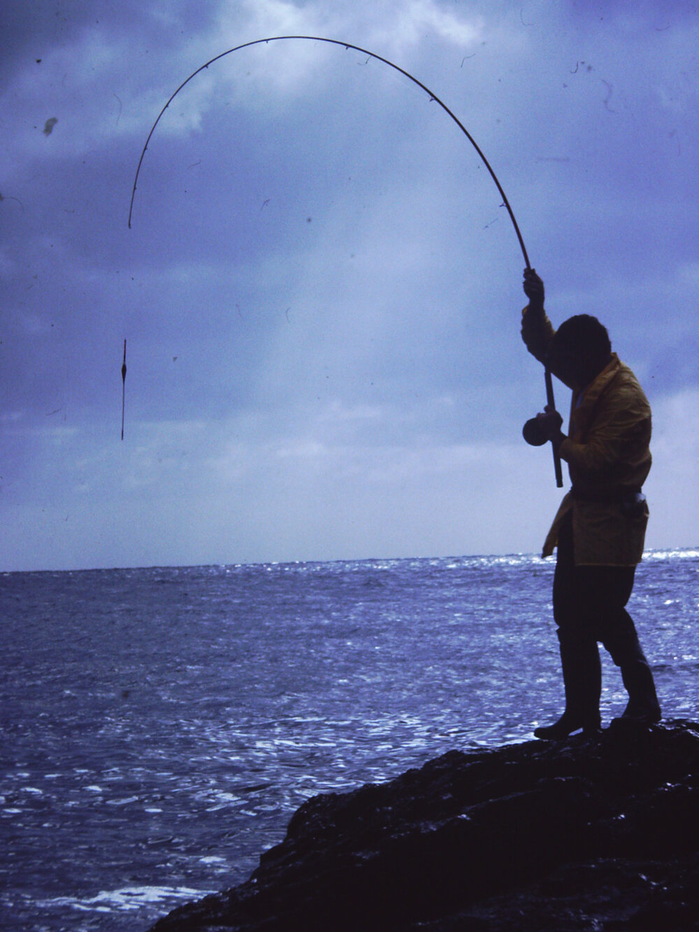 Fisherman at Shellharbour
