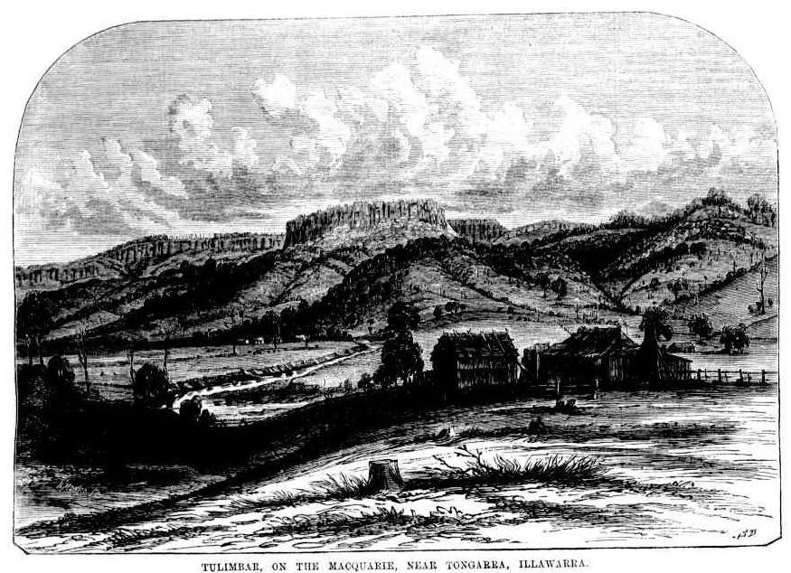 Tullimbar, On the Macquarie, Near Tongarra, Illawarra