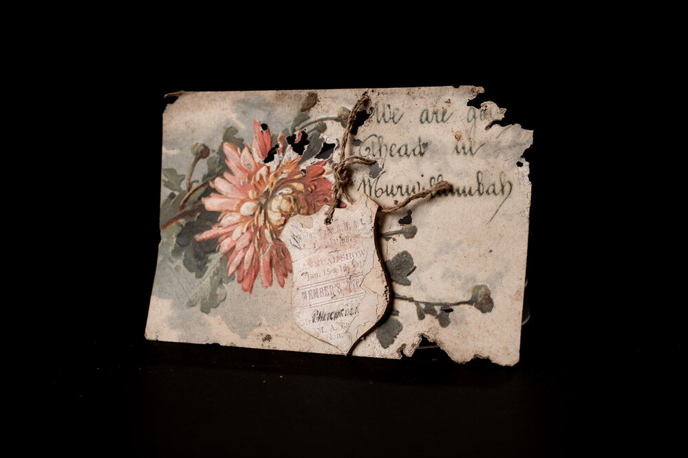 'Bellmont' Post Card and Show Tag