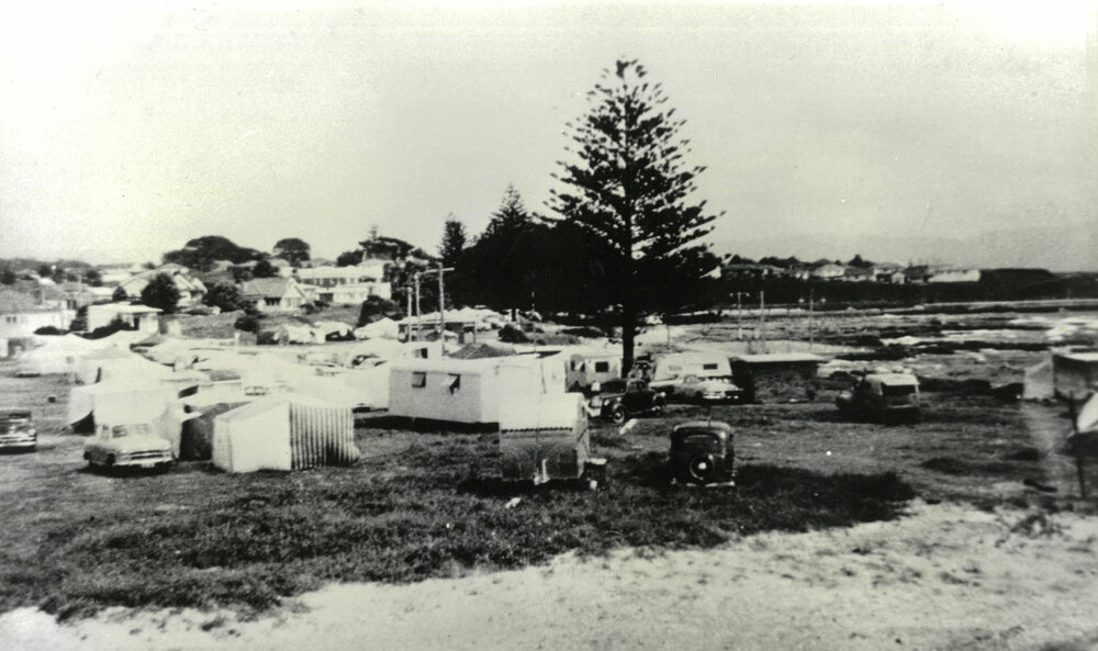 Camping Reserve Shellharbour
