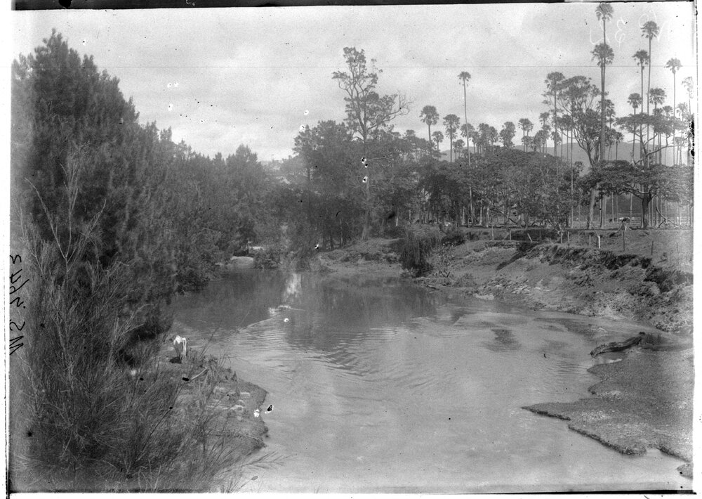 Macquarie Rivulet, Tongarra