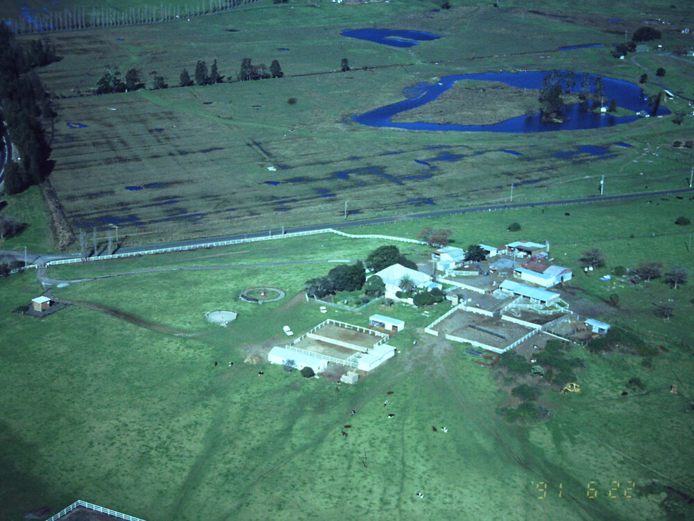 Anglesboro