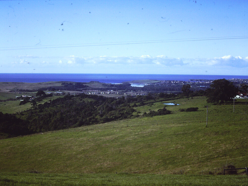 View South East from Dunster's Hill