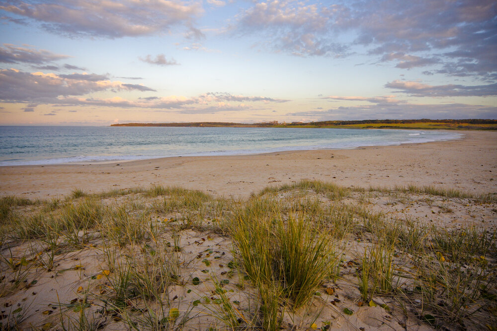 Shellharbour South Beach