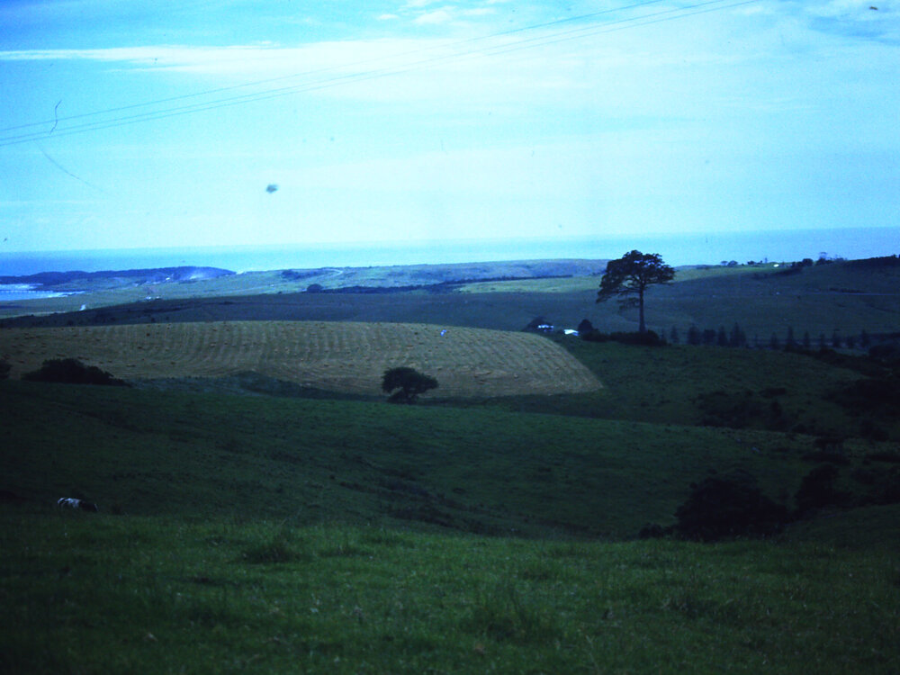 View from Dunster's Hill (The Hill) to Bass Point