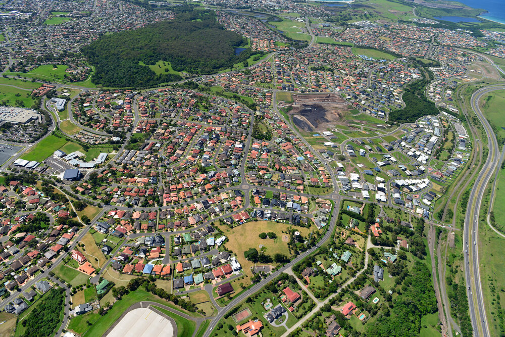 Blackbutt