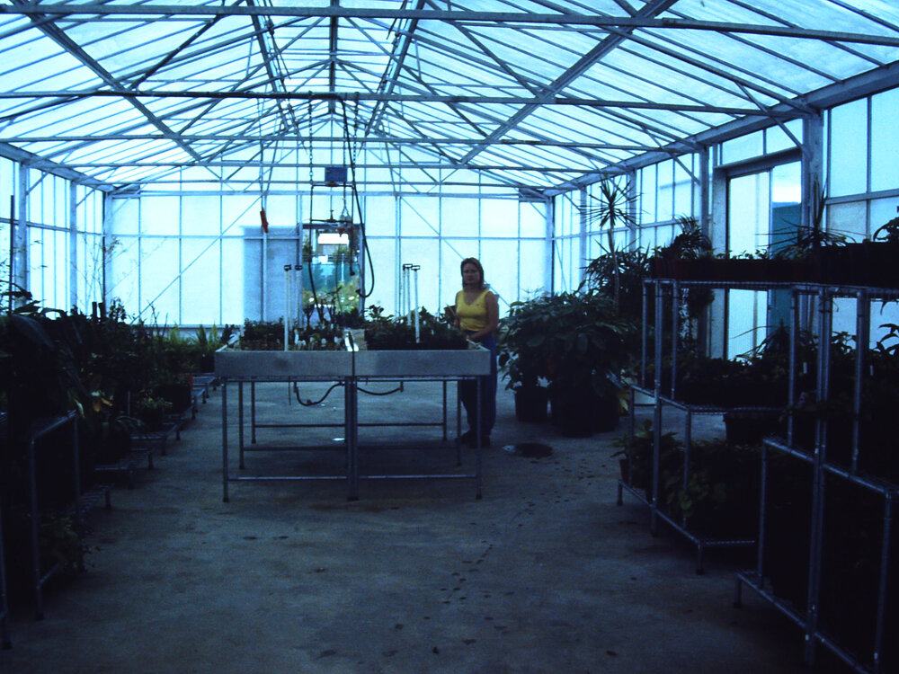 Shellharbour Municipal Council Nursery