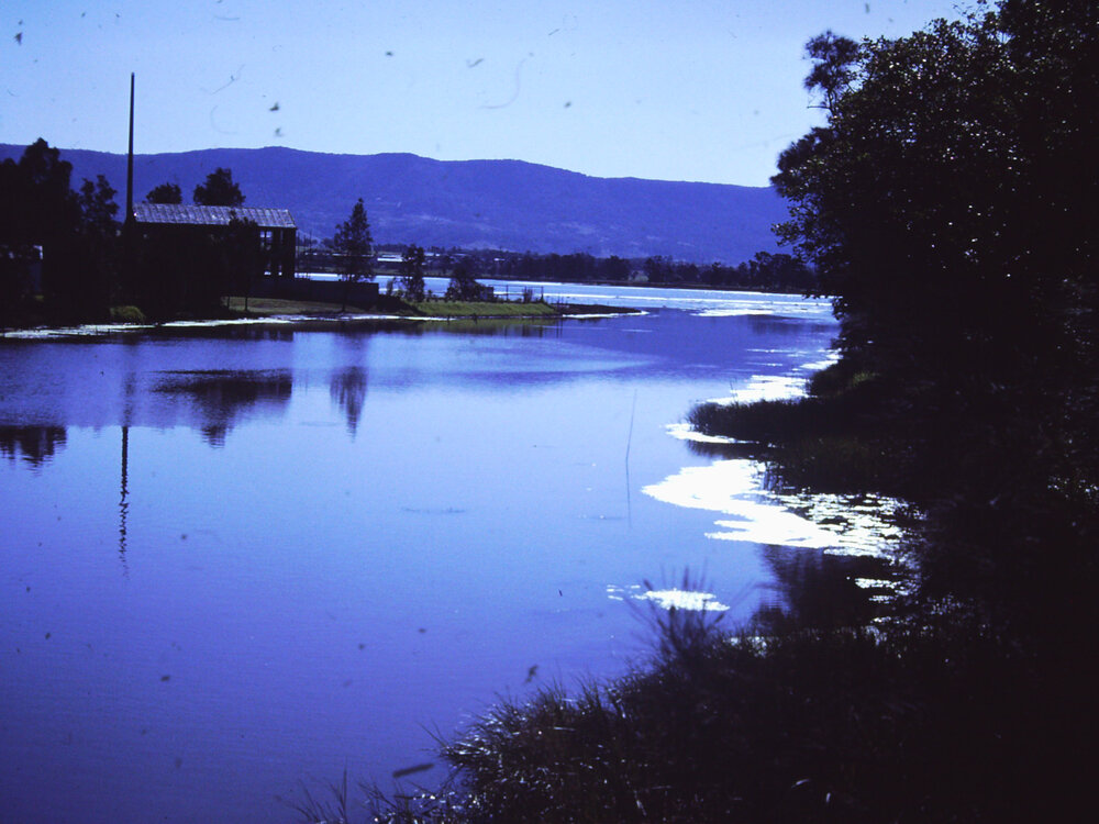 Horsley Creek Entrance