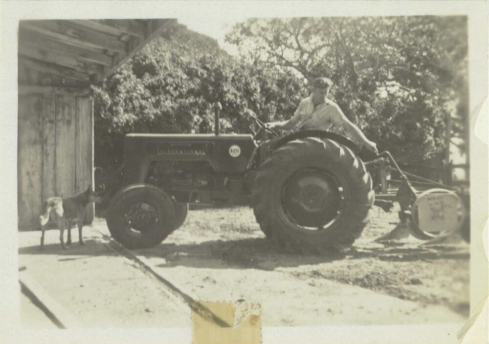 Tractor at Shellharbour