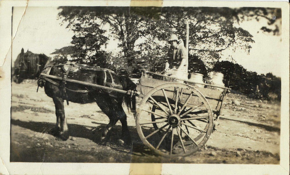 Taking Milk to the Factory