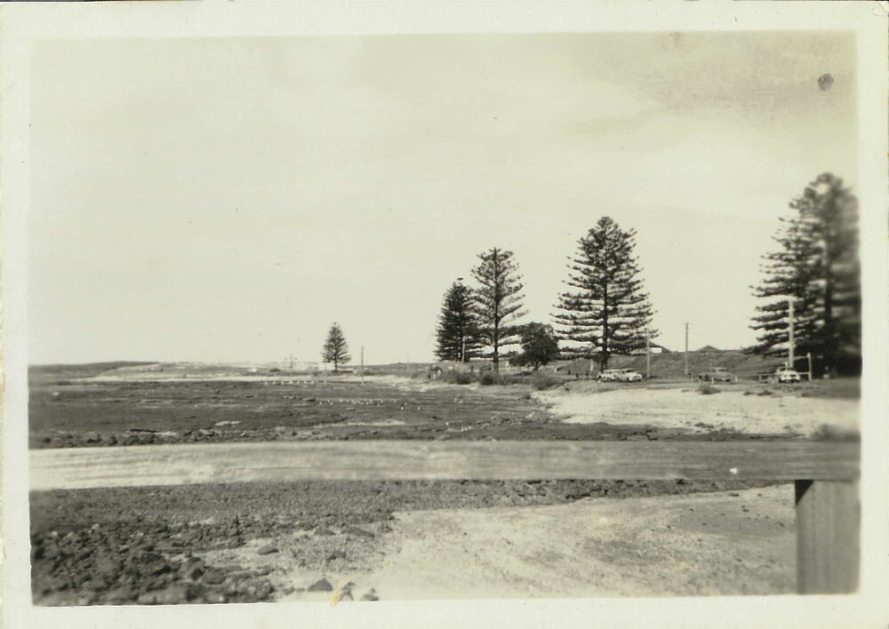 Shellharbour Campground