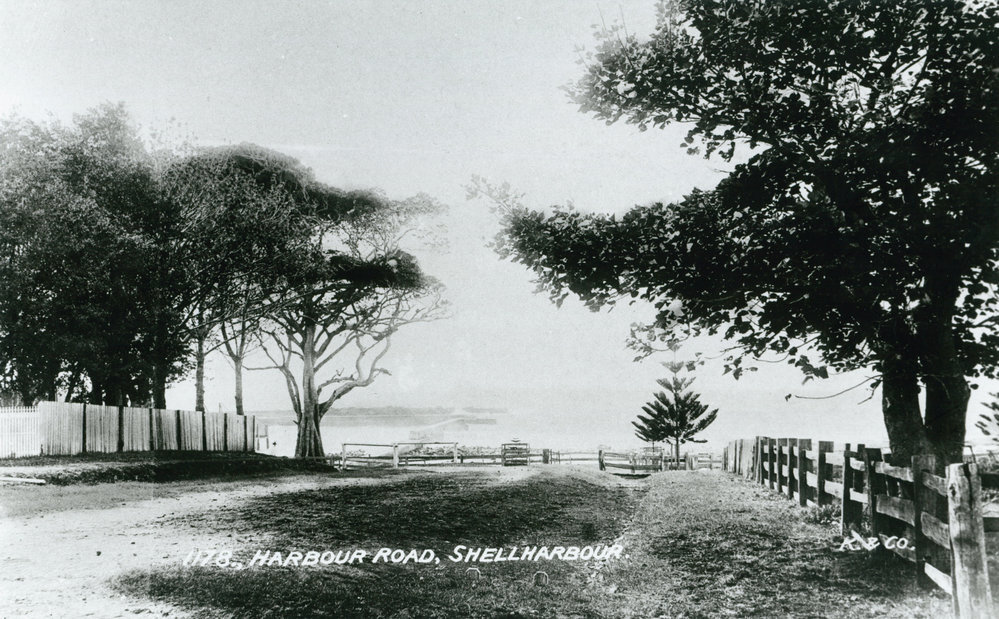 Addison Street, Shellharbour