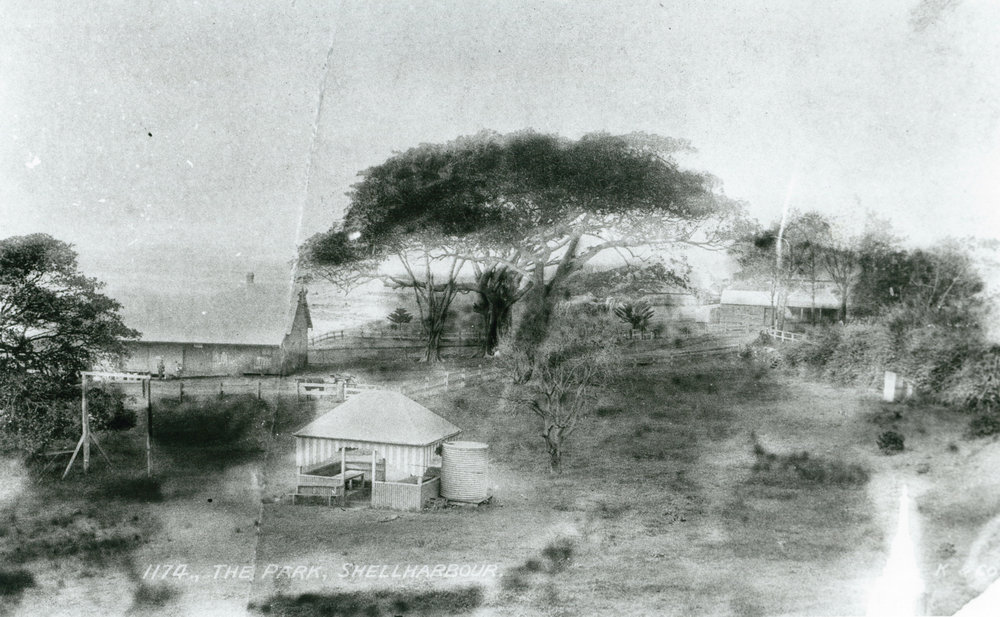 View from The Reserve (Little Park), Shellharbour