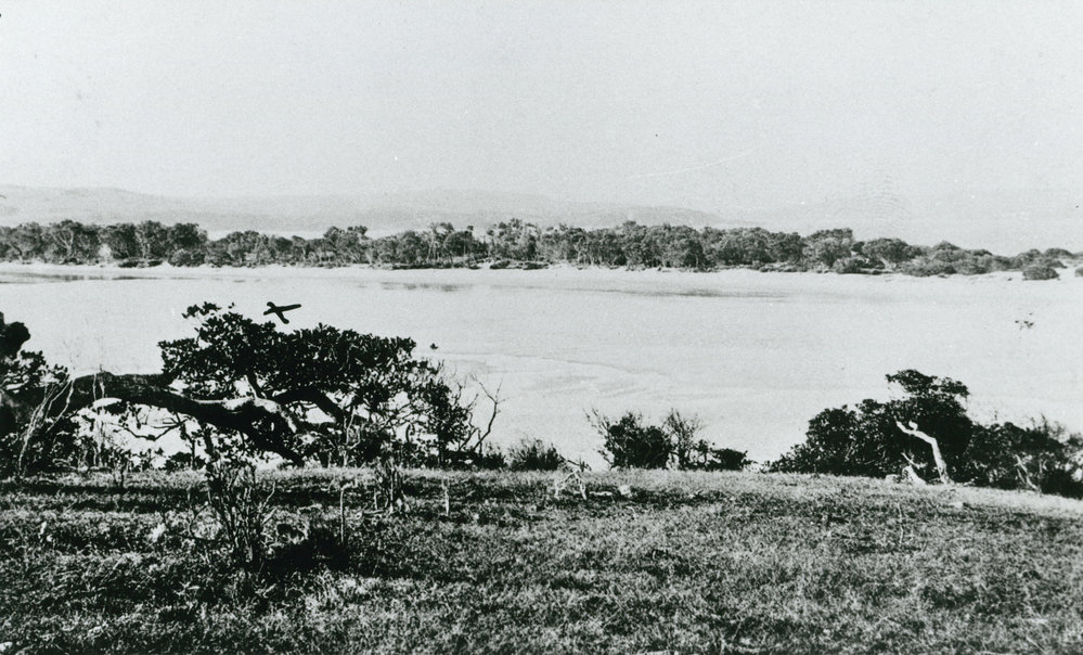 The Minnamurra River