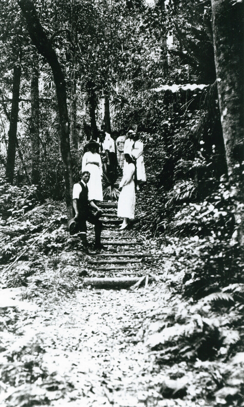 People on bushtrack