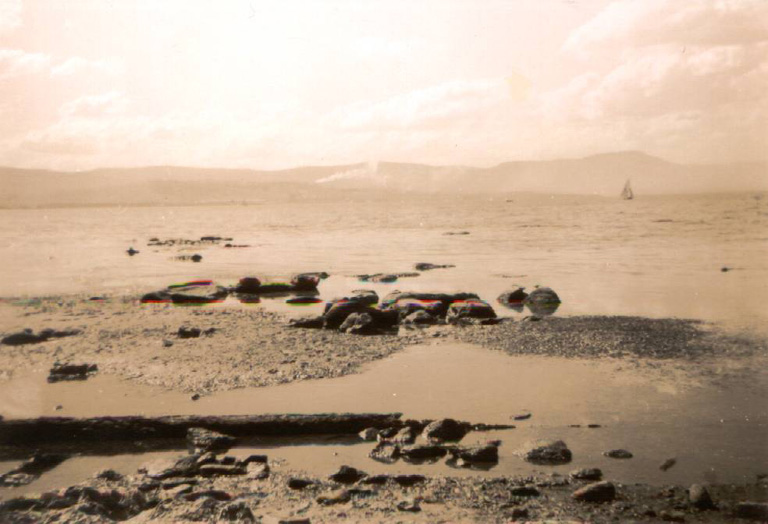 Lake Illawarra