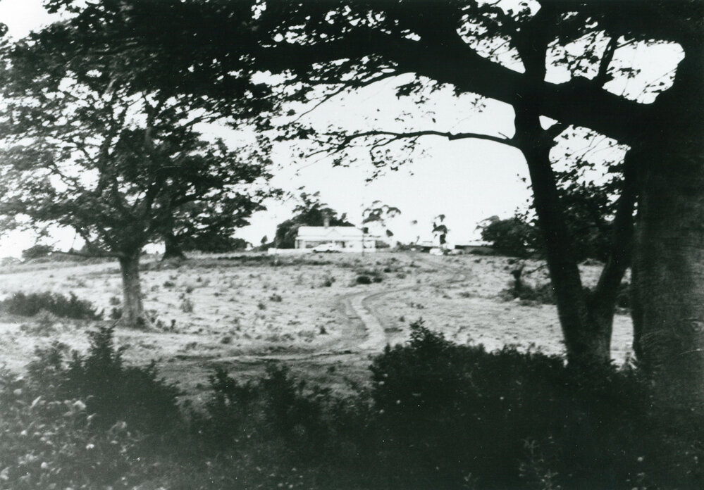 Bellmont', Dunmore