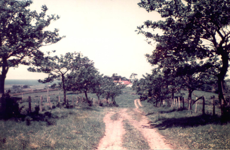 Driveway to 'Bellmont', Dunmore