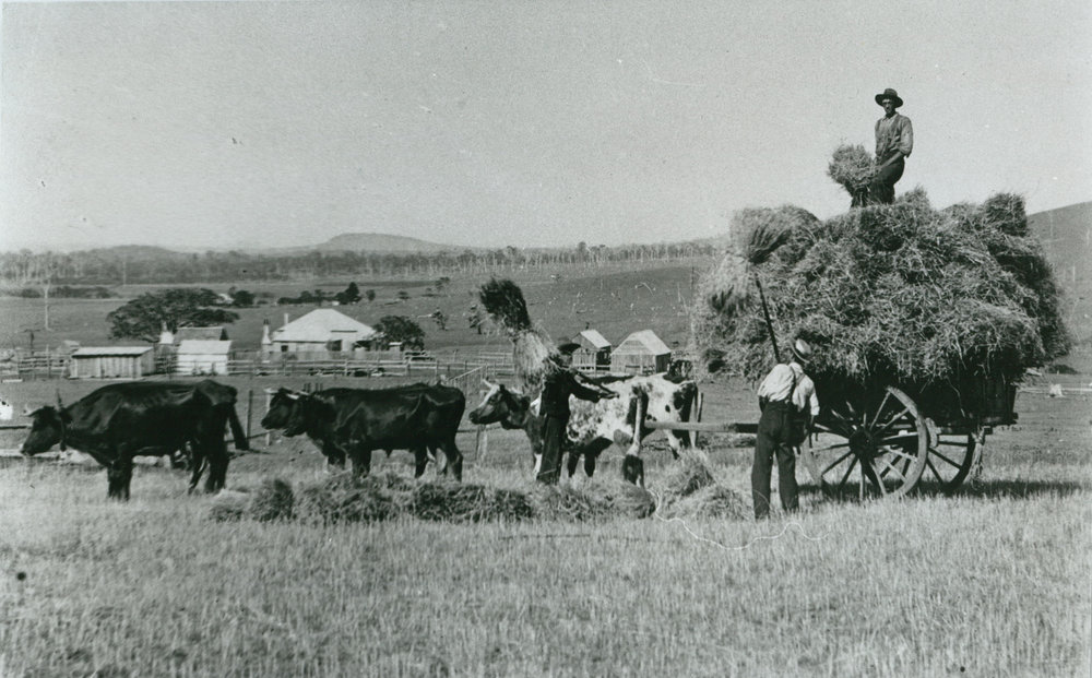 Loading hay at 'Wattle Grove', Albion Park
