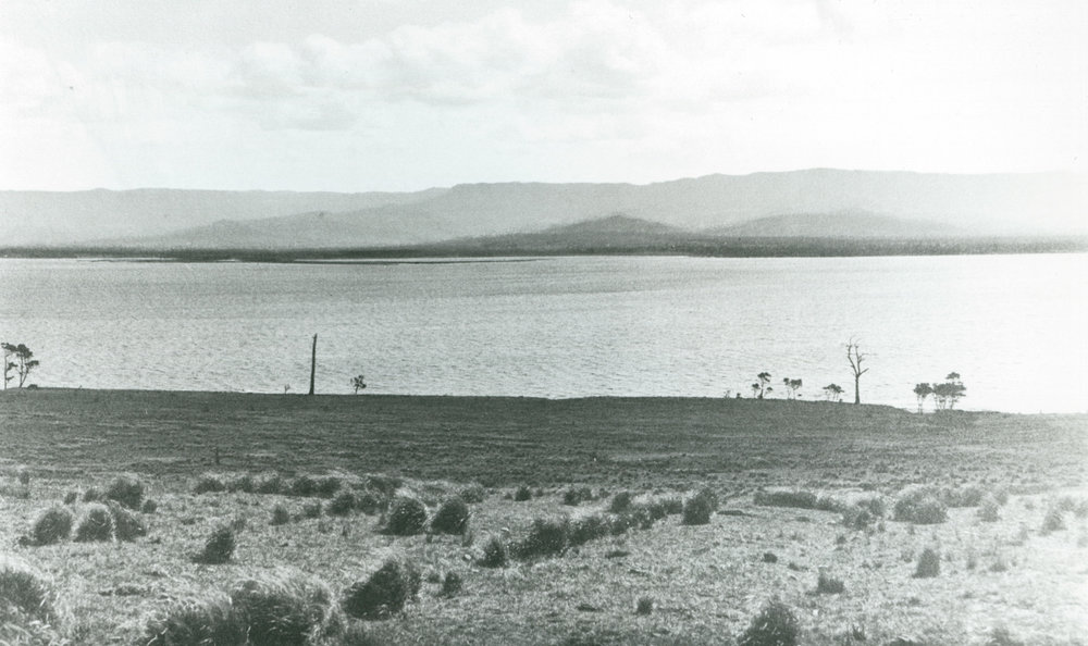View from Stoney Range to Mt Brown, Dapto 1928