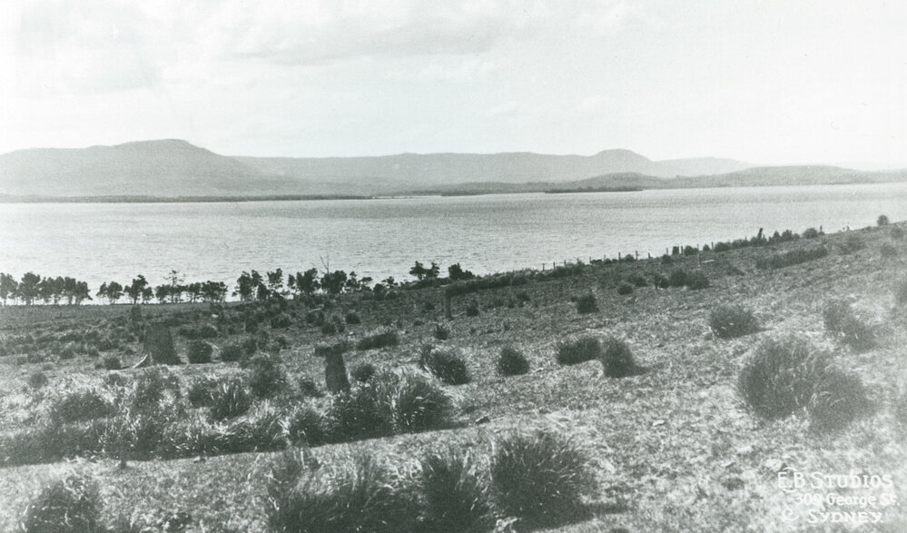View from Stoney Range to Mt Kembla 1928