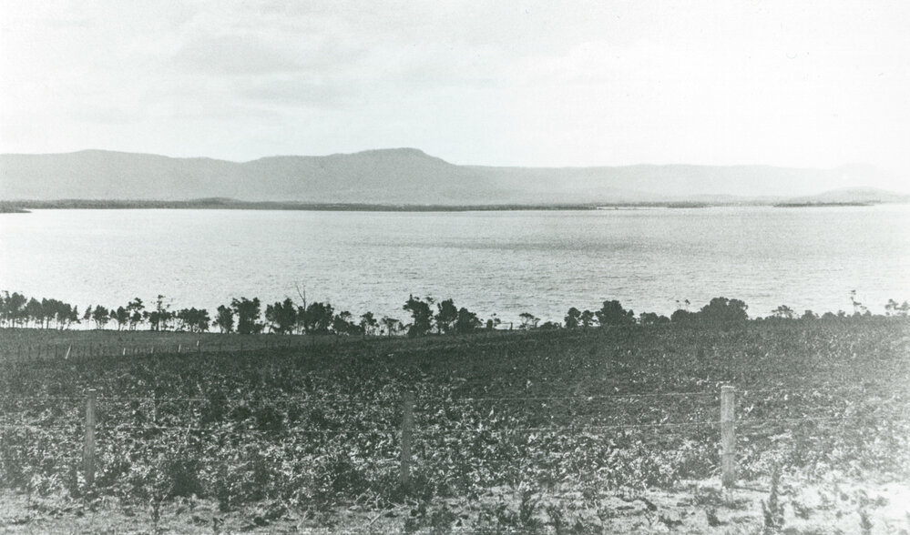 View from Stoney Range across Lake Illawarra to Mt Kembla 1928
